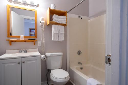 a bathroom with a toilet and a sink and a shower at Belle Isle Motel in Bar Harbor