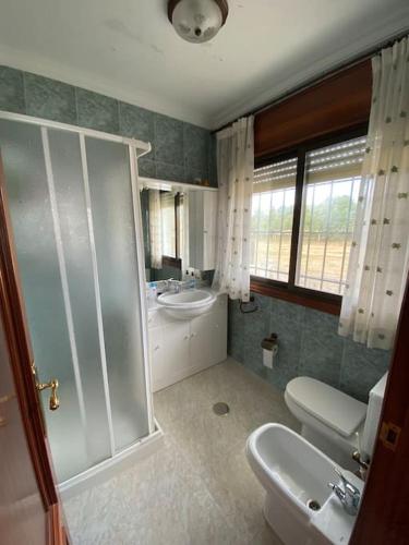 a bathroom with a shower and a sink and a toilet at Casa Vilachá - Ribeira Sacra in Puebla del Brollón