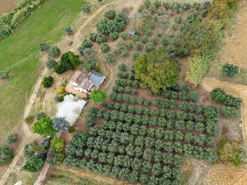 Vue panoramique sur l'établissement Agriturismo Il Gelso Antico