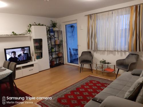 a living room with a couch and a tv at Vienna Lion Apartment in Vienna