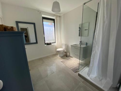 uma casa de banho com um WC e uma cabina de duche em vidro. em RÉF 483 - LORIENT maison de ville avec terrasse jardinet em Lorient