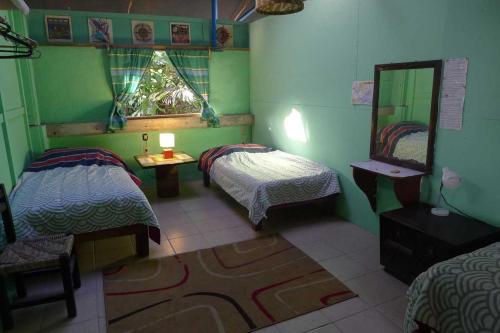 een groene kamer met 2 bedden en een spiegel bij The Octopus's Garden Hostel in Cruz de Huanacaxtle