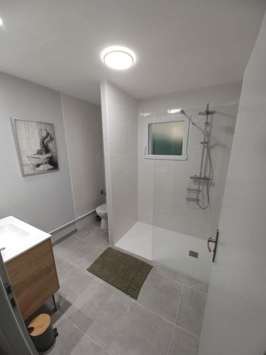 une salle de bain avec une douche avec un lavabo et des toilettes dans l'établissement Chez Emoun et Lina, à Caussade