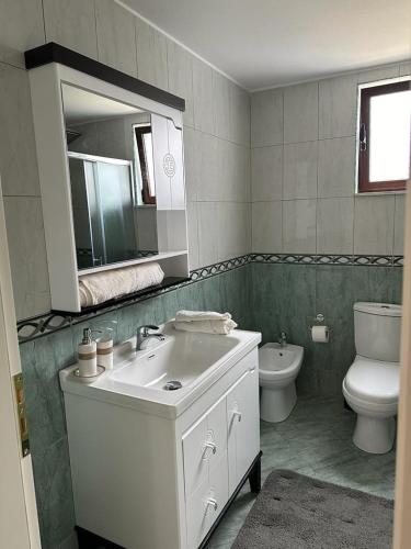 a bathroom with a sink and a toilet and a mirror at Albanian Gem in Kuçovë in Kuçovë