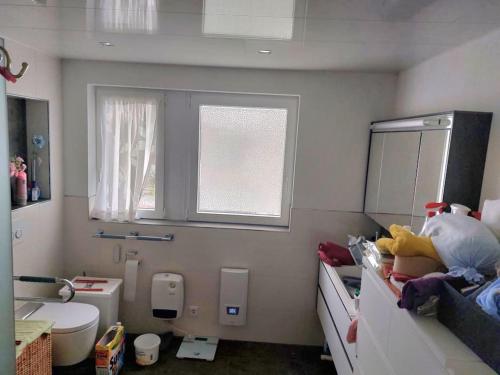 a bathroom with a sink and a toilet and a window at Make yourself at home in Vaihingen an der Enz