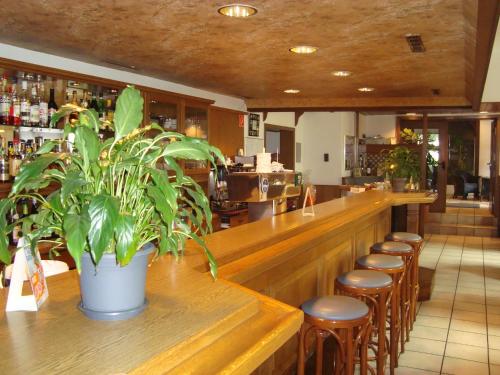 Lounge nebo bar v ubytování Hotel-Restaurant Handelshof