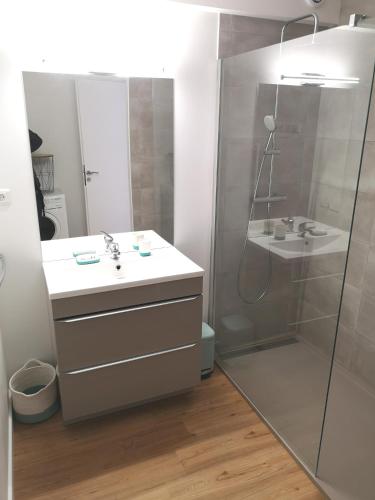 une salle de bain avec douche et lavabo dans l'établissement Appartement douillet (3 étoiles) à 5 min du lac, à Sévrier
