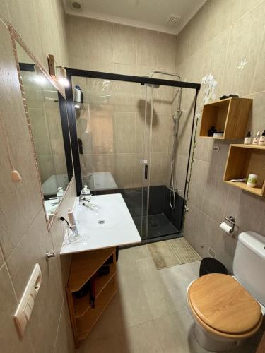 a bathroom with a shower and a sink and a toilet at PRECIOUS AND ORIGINAL APARTMENT CENTER in Cádiz