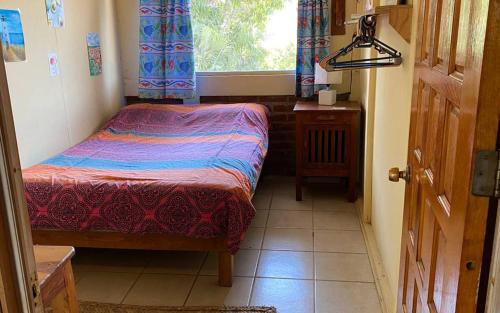 a small room with a bed and a window at The Octopus's Garden Hostel in Cruz de Huanacaxtle