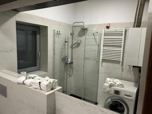ein Bad mit einer Dusche und einer Waschmaschine in der Unterkunft Nad rzeką XL Luxury in Piła