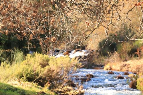 a stream with snow on the side of it at Casa do Boco in Oliveira do Hospital