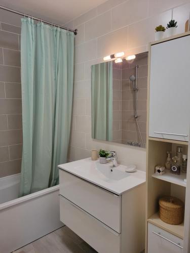 łazienka z umywalką i zasłoną prysznicową w obiekcie JO 2024 -Appartement familial tout confort w mieście Guyancourt
