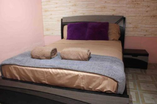 uma cama com duas almofadas num quarto em Casa LUNA em Boquete