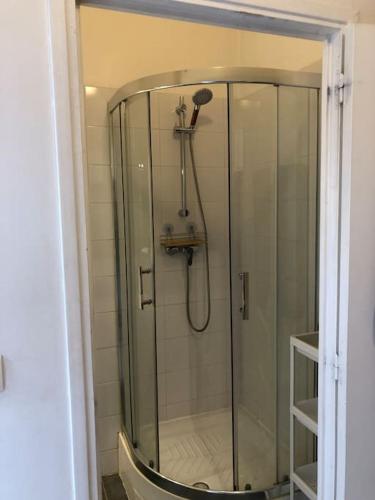 La salle de bains est pourvue d'une cabine de douche en verre. dans l'établissement Suite Saint Rome, à Toulouse