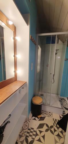ein Bad mit einer Dusche, einem WC und einem Spiegel in der Unterkunft Guim appart in Guimiliau