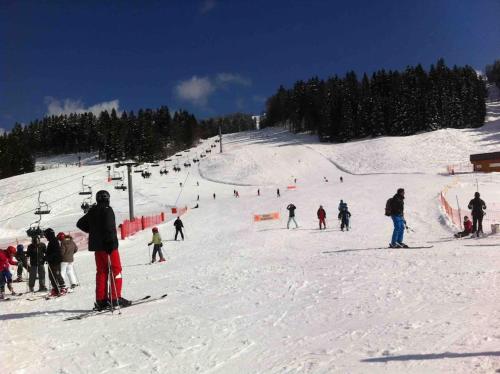 um grupo de pessoas a esquiar numa pista de esqui em Appmt 4-5 pers pleine nature em Lamoura
