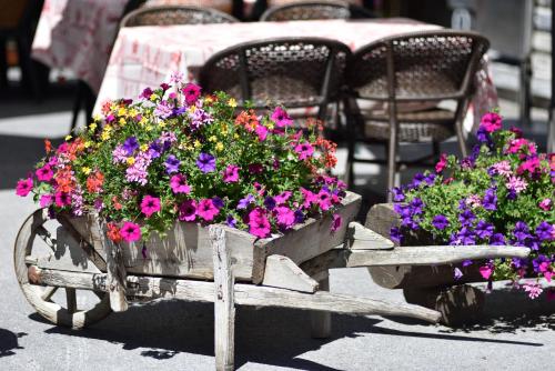 a wooden cart filled with lots of colorful flowers at Hotel Les Mélèzes in Haudères