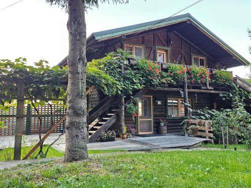 a house with flowers on the side of it at Cabana Bendis in Râşnov