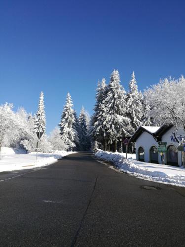 Top Appartment mit Weitblick und Late Check-Out inklusive aktivCARD im Winter