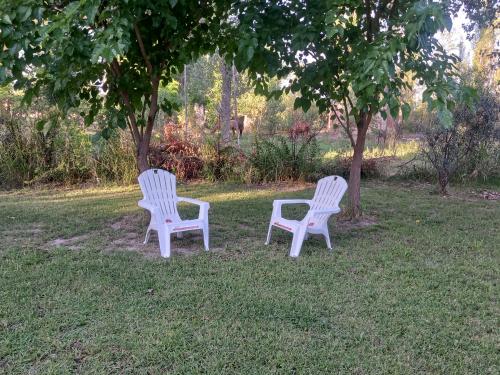 deux chaises blanches assises dans l'herbe sous un arbre dans l'établissement Cabañas LUNALUMA, à Barrancas