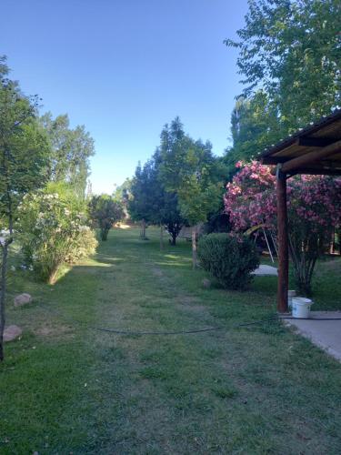 a garden with trees and grass and a pathway at Cabañas LUNALUMA in Barrancas