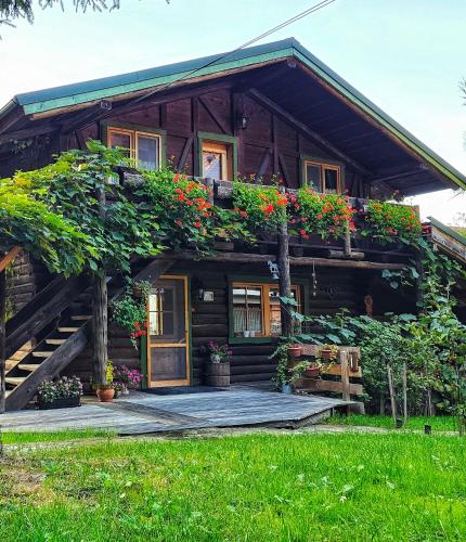 a log cabin with flowers on the facade at Cabana Bendis in Râşnov