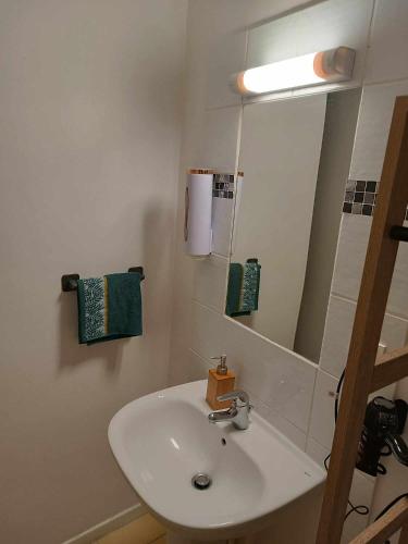 une salle de bain avec un lavabo blanc et un miroir dans l'établissement Maisonnette abj, à Anneyron