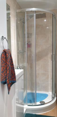 um chuveiro com uma porta de vidro ao lado de um lavatório em The Owl Box: self-contained private annex & garden em Horseheath