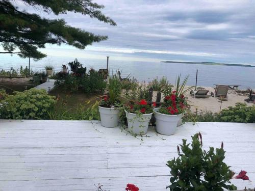 three potted plants sitting on a patio near the ocean at The Huron Hutch in Evergreen Shores