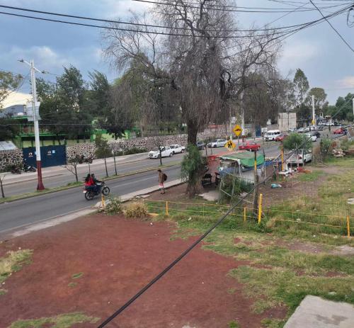 una calle con un árbol y un camino con coches en Cuartos a Pie de Carretera Mexico-Teotihuacan, en Acolman de Netzahualcóyotl