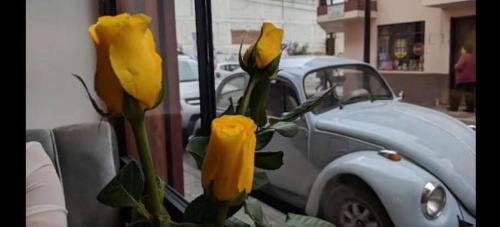 Eine Vase mit gelben Blumen neben einem Auto. in der Unterkunft La Casa de Manuel Casa-Boutique in Loja