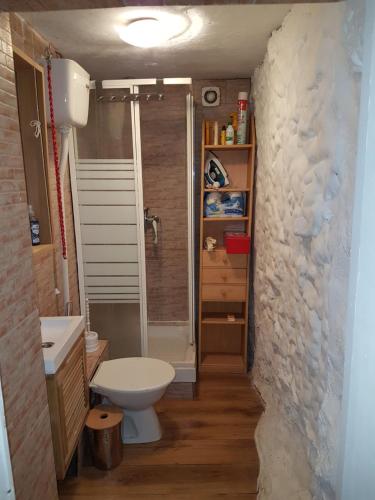 ein Bad mit einem WC und einer ebenerdigen Dusche in der Unterkunft Maison Andalouse avec piscine in El Almendral