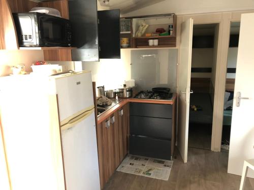 カルナックにあるCharmant Mobil home 6 placesの小さなキッチン(冷蔵庫、電子レンジ付)