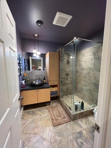 a bathroom with a shower and a sink at Farmhouse Apartment Guelph Elora in Guelph