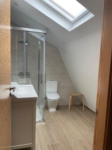 ポンテベドラにあるO Outeiro Da Tía Muchaのトイレ、シャワー、洗面台を備えたバスルーム