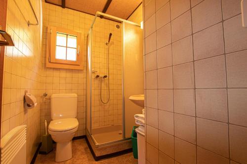 a small bathroom with a toilet and a shower at Residenz Edelweiss SAAS321 - b47720 in Saas-Balen