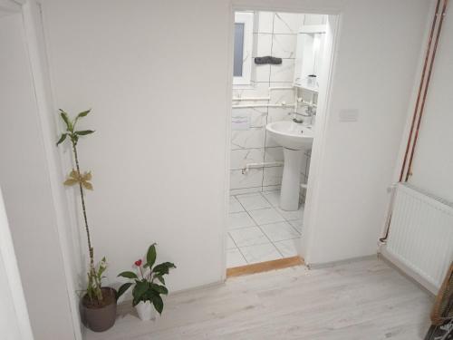 bagno con servizi igienici, lavandino e specchio di Apartman Branka a Niška Banja