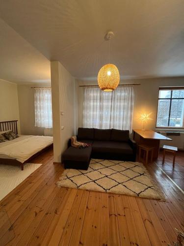 A seating area at Cozy flat with fireplace