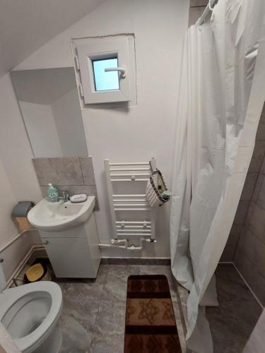 a white bathroom with a toilet and a shower at CABANA CASA LU'BACIU in Arpaşu de Sus