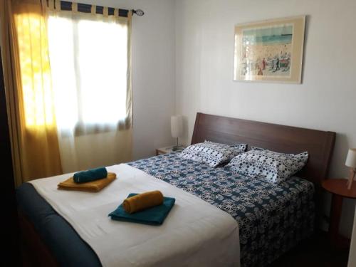 1 dormitorio con 1 cama con 2 almohadas en Casa Pelagia, maison de pêcheur avec amarre, en Empuriabrava