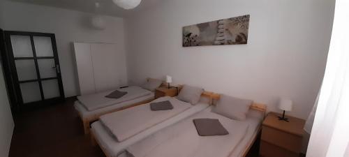 a room with two beds and a picture on the wall at Apartmán Vacovi in Olomouc