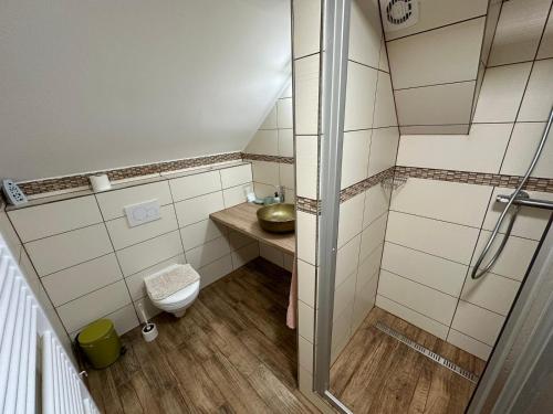 a small bathroom with a shower and a toilet at Chata Jesenka in Čachrov