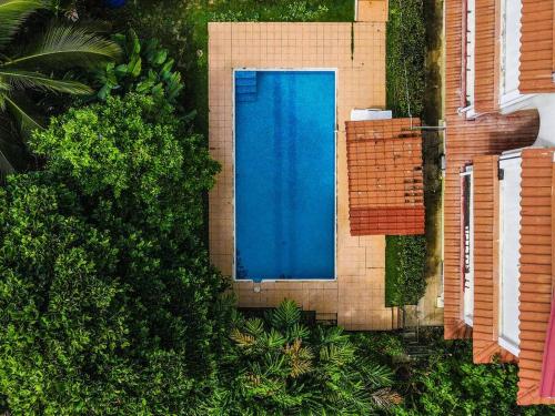 een uitzicht over een zwembad met een blauwe deur bij Seaside Apartment near Bocas Town in Istmito