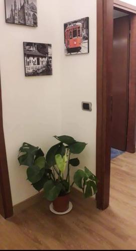 B&B Domobella -- Ripamonti / IEO / PRADA / Bocconi --