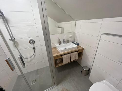 a bathroom with a shower and a sink and a toilet at Haus Tennstein in Schladming