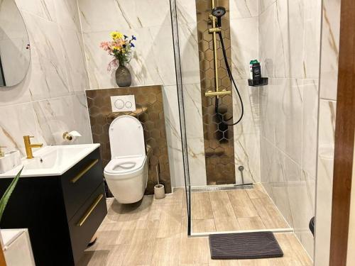 a bathroom with a shower and a toilet and a sink at Lovely tiny house in Zandvoort
