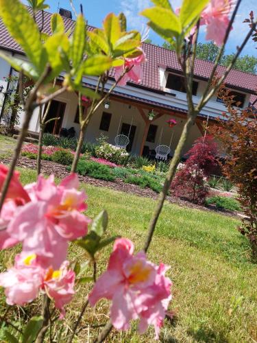a house with pink flowers in the yard at Noclegi i sauna w starym domu in Pławnica