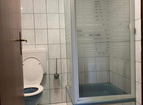 a bathroom with a toilet and a glass shower at Sonnenunterg in Knüllwald