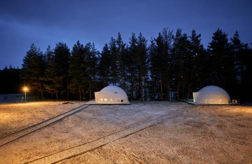 TsalkaにあるDaxvalley Glampingのギャラリーの写真