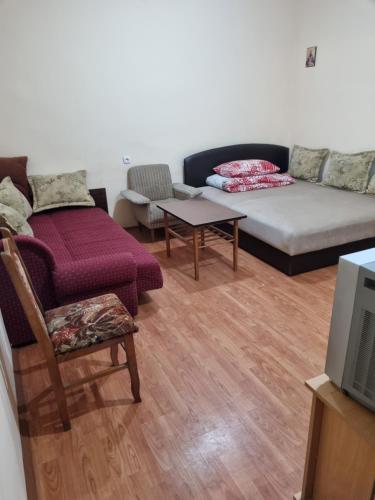 a living room with a couch and a table at Apartman Ristovic preko puta poste poste 01 in Mataruška Banja